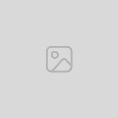 Blog Website Template